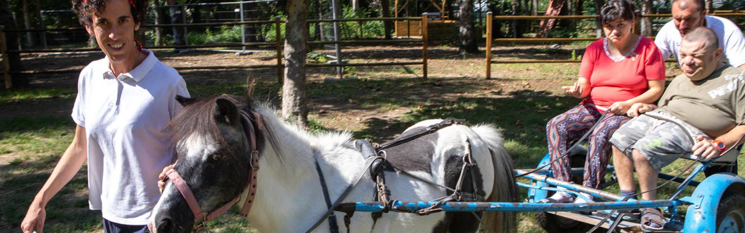 {data:titolo_dettaglio}