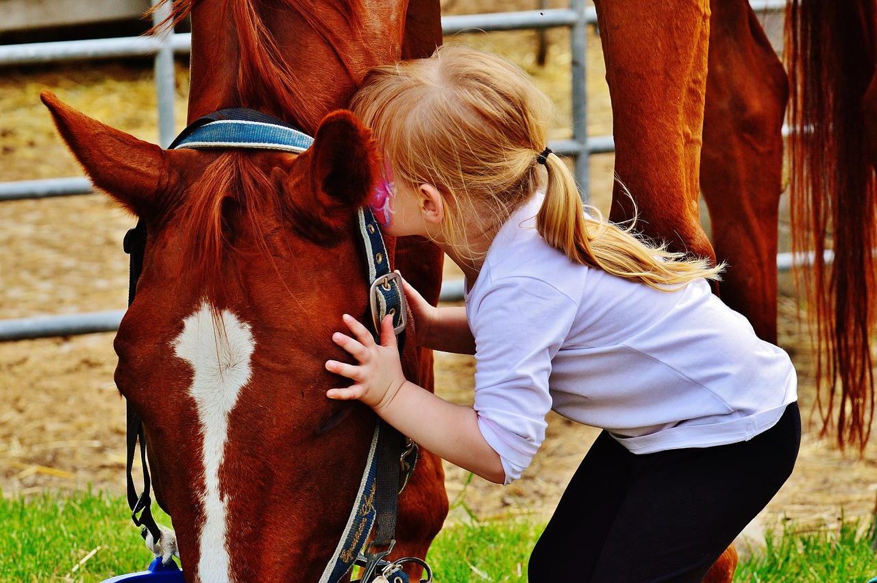 rieducazione equestre